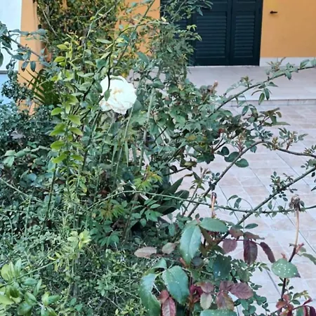 Brezza Di Mare 갈리폴리