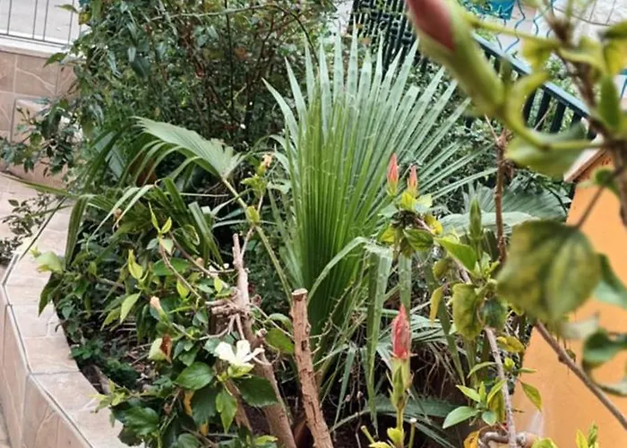 펜션 Brezza Di Mare