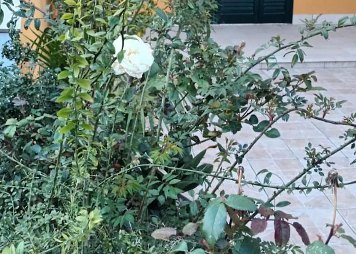 Brezza Di Mare Gallipoli